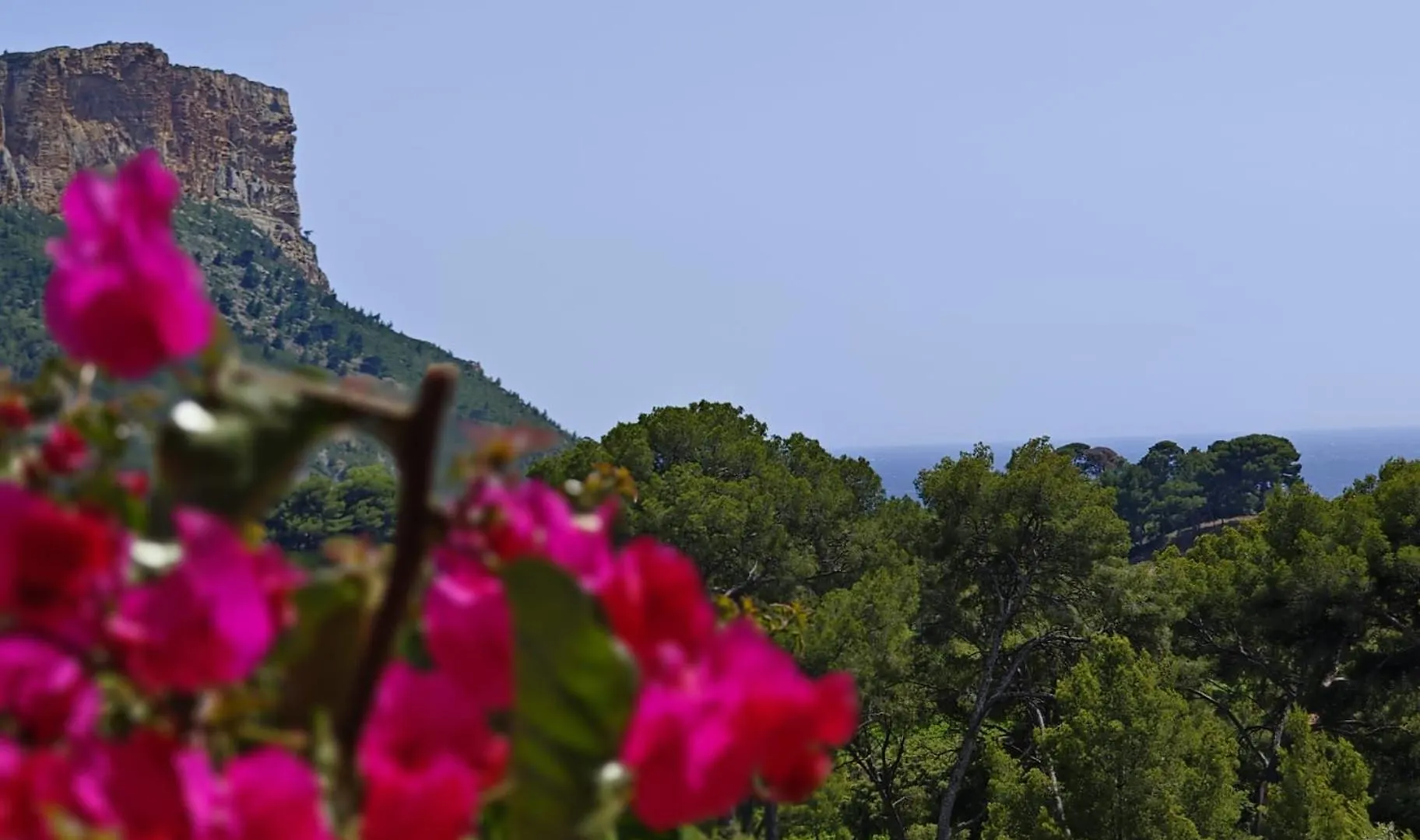 Charmant T2 A Cassis Francia