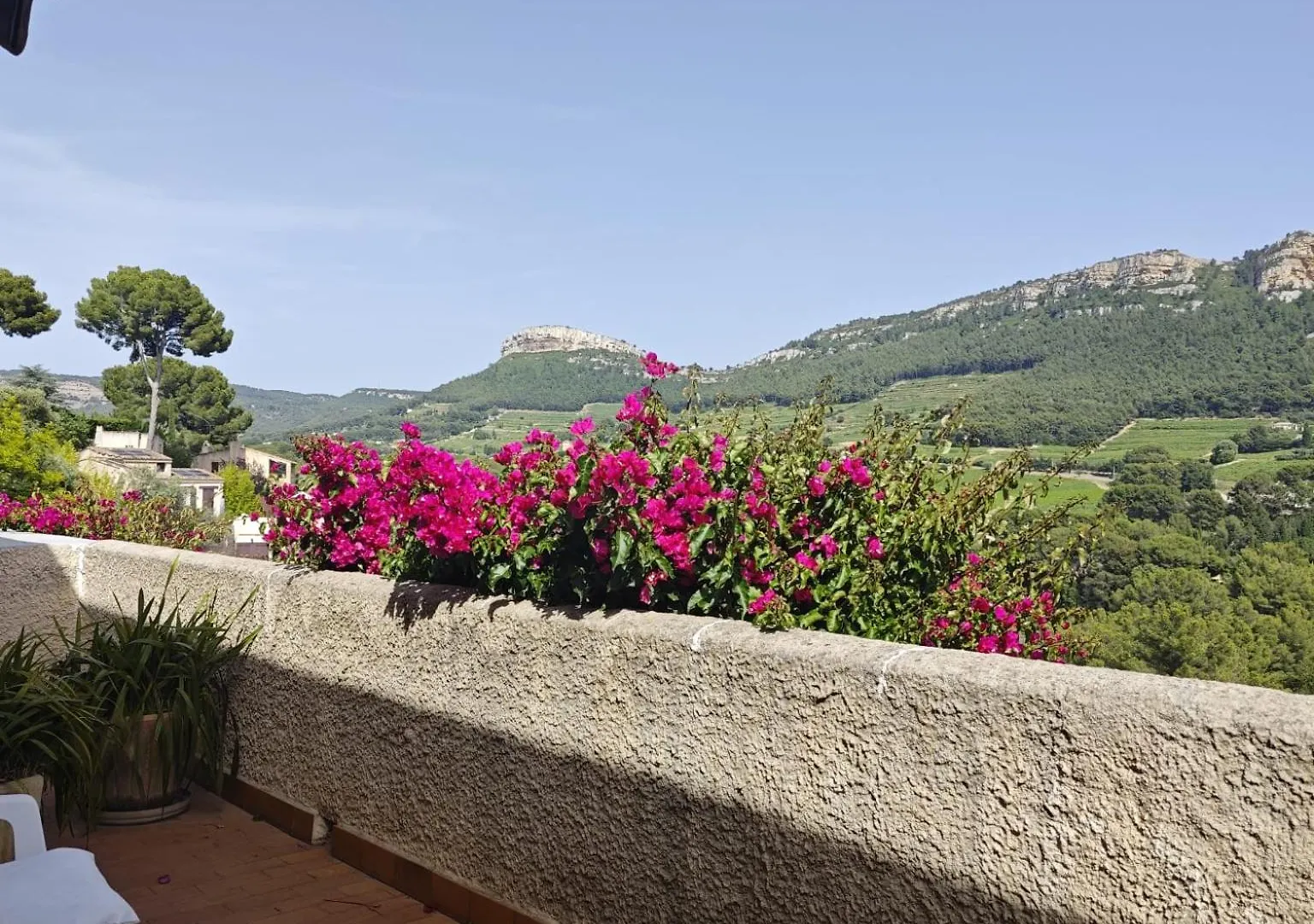 Charmant T2 A Cassis